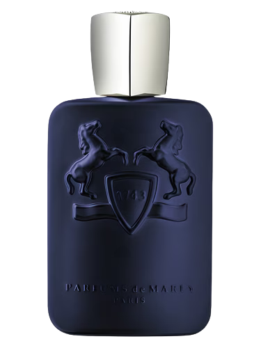 PDM Layton