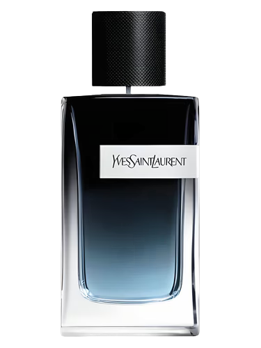 YSL EDP